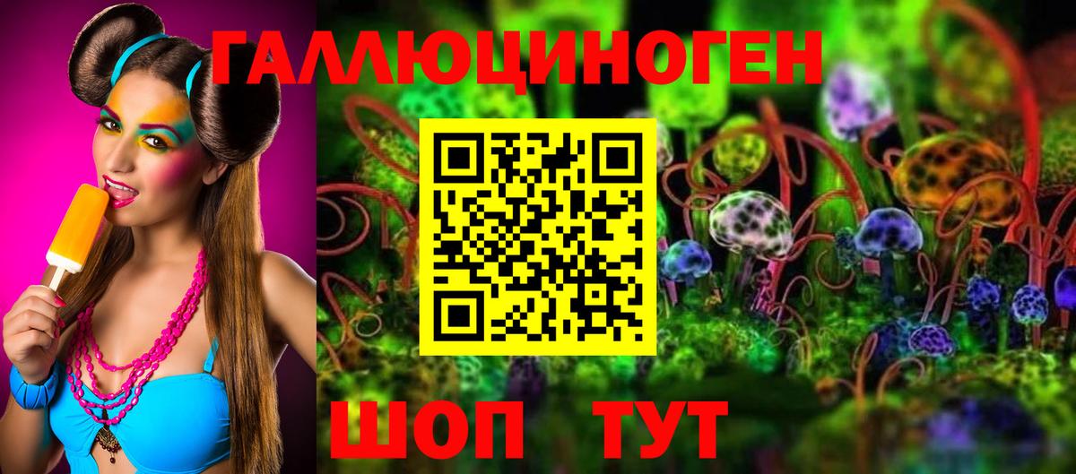 Псилоцибиновые грибы Cubensis Трёхгорный